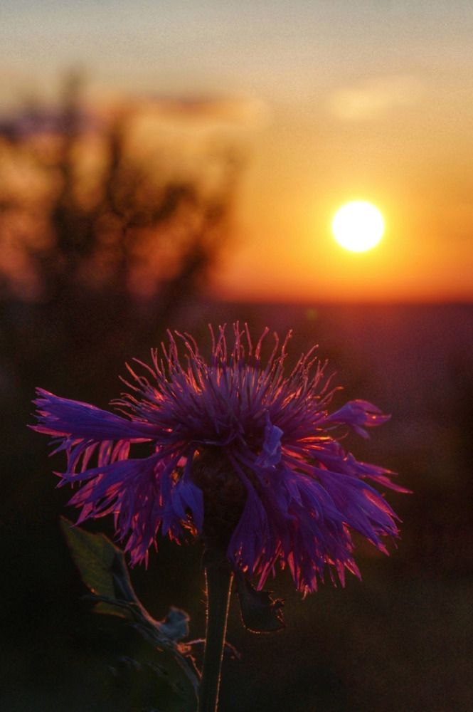 Photograph by Ирина Чувило
