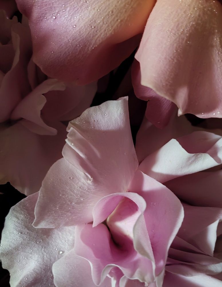 Photograph by Анна Матецкая