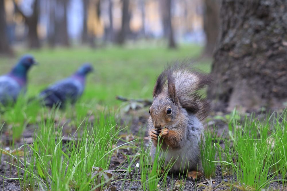 Фотография автора Колосова Елена