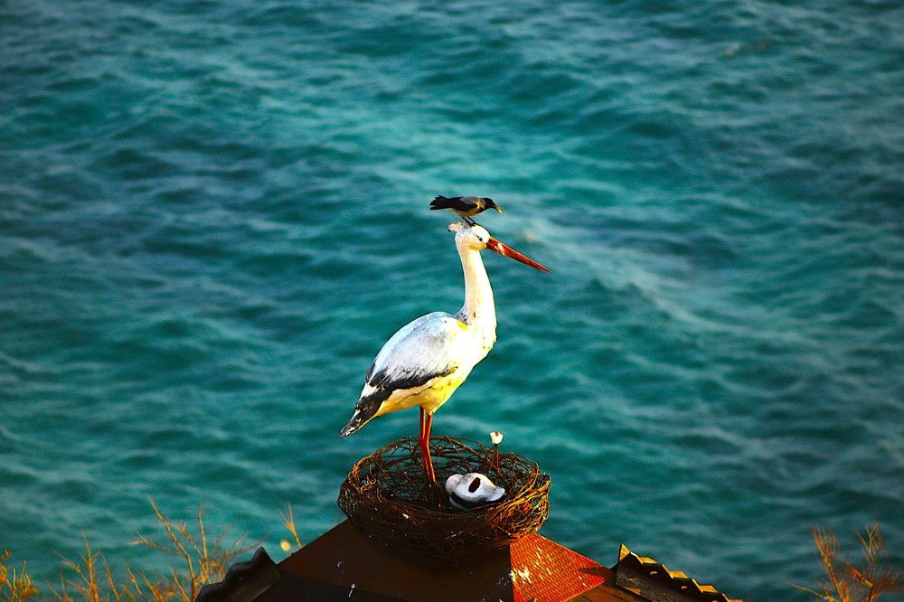 Фотография автора Михаил Лупина
