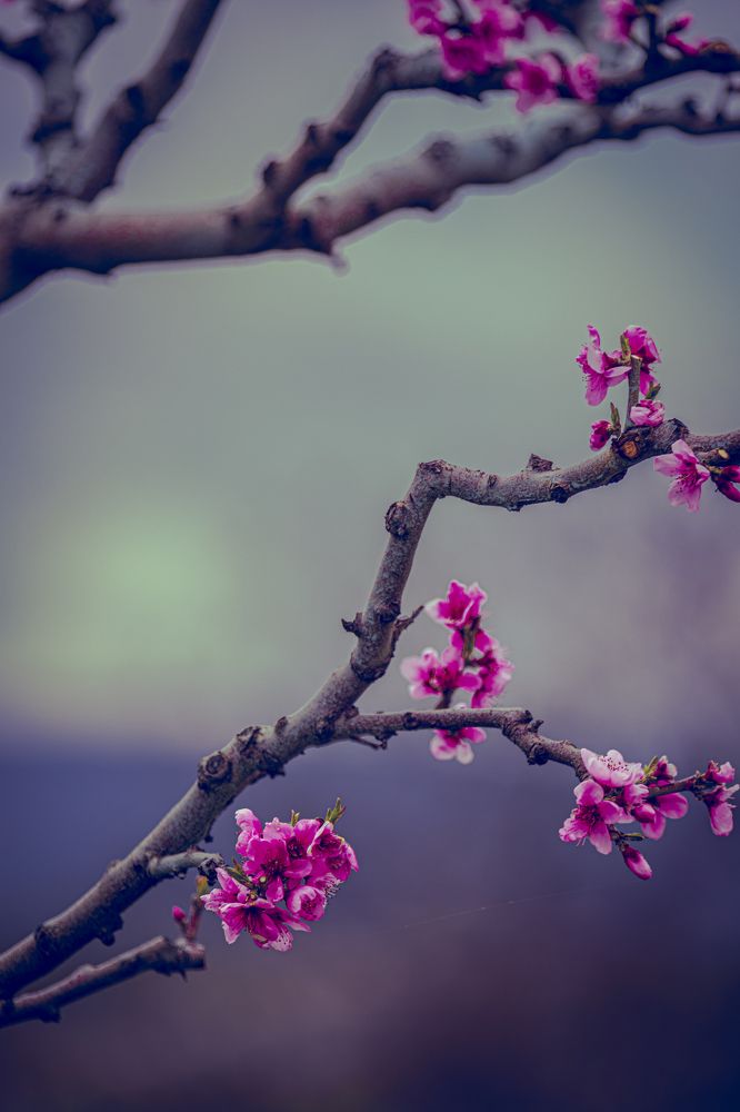 Photograph by Игорь Толкачев