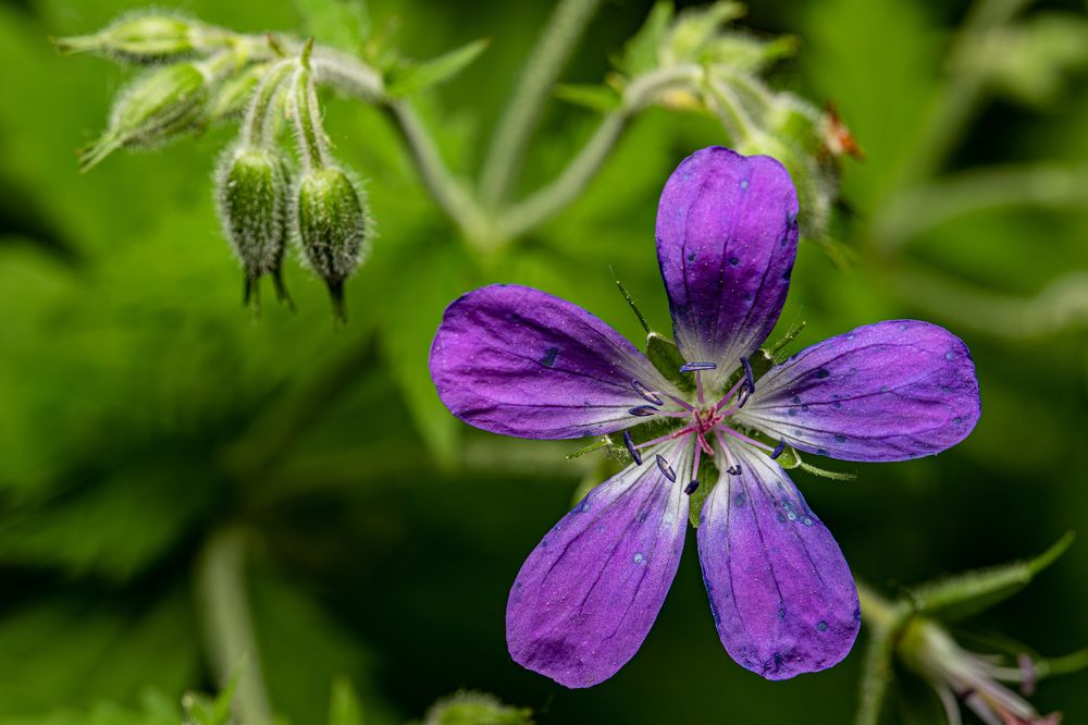 Photograph by Дмитрий Константинов
