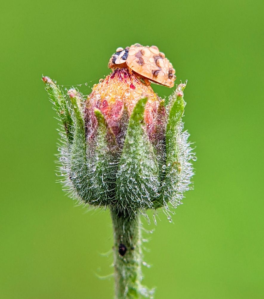 Photograph by QUYET NGUYEN TRONG