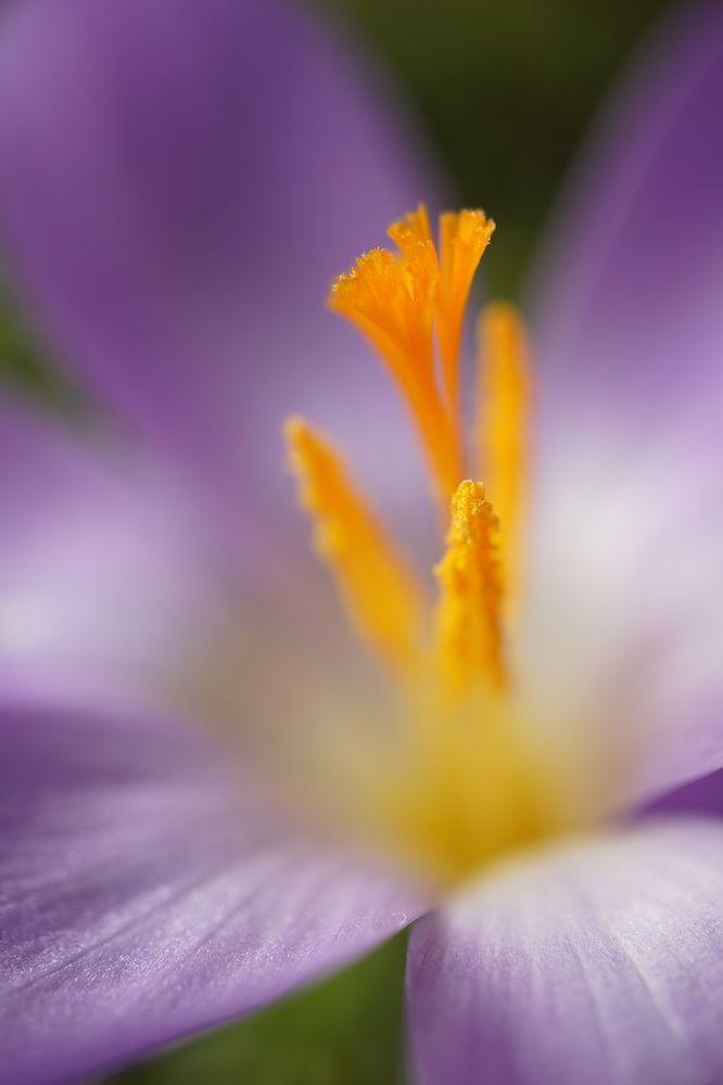 Фотография автора Liudmila Kiermeier