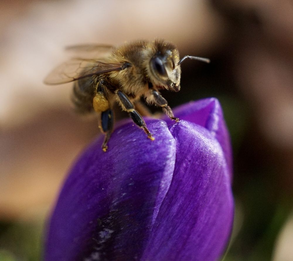Фотография автора Liudmila Kiermeier