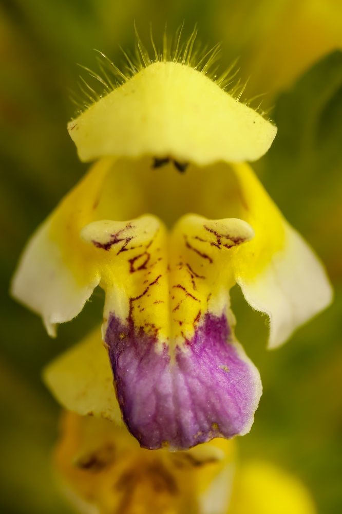 Photograph by Сергей Назаредский