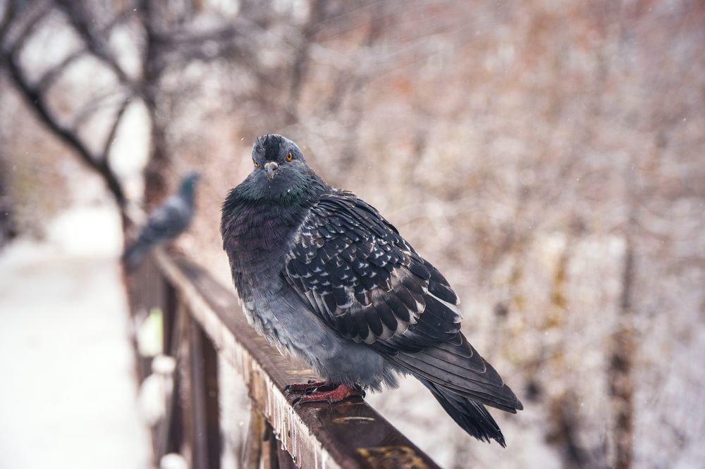 Photograph by Антон Гаврилов