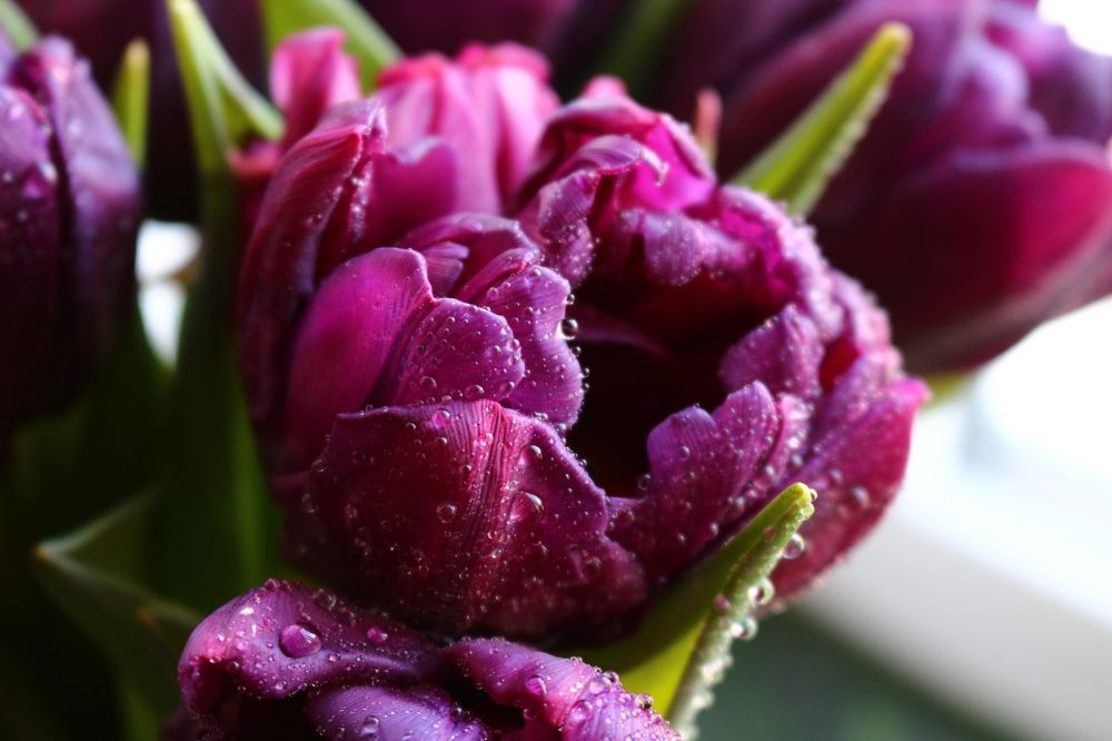 Photograph by Светлана Шуткова