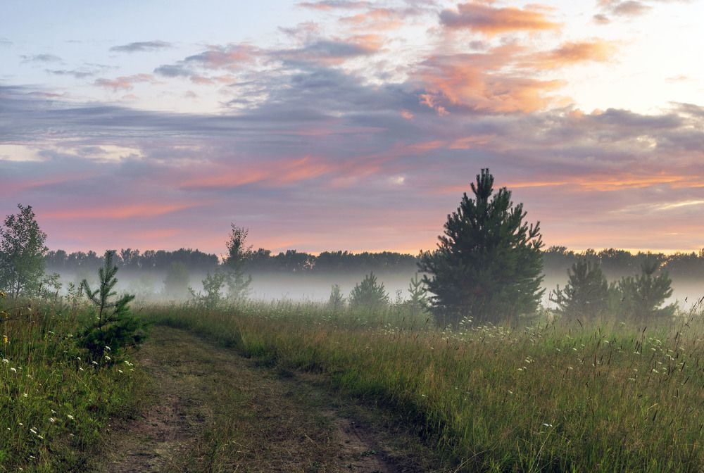 Утро туманное