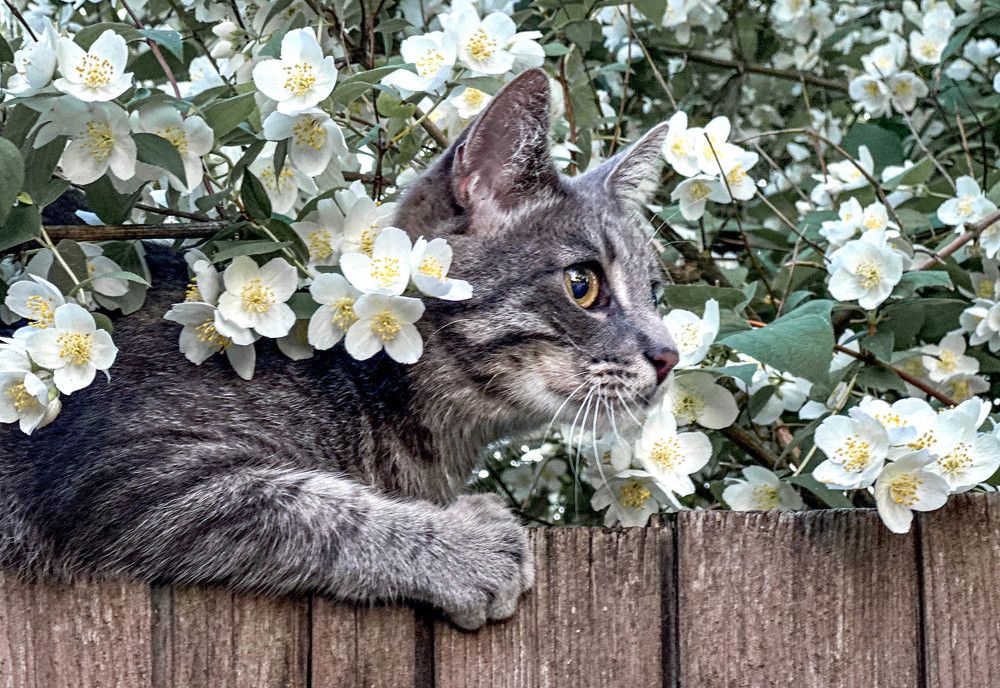 Photograph by Сергей Метелица