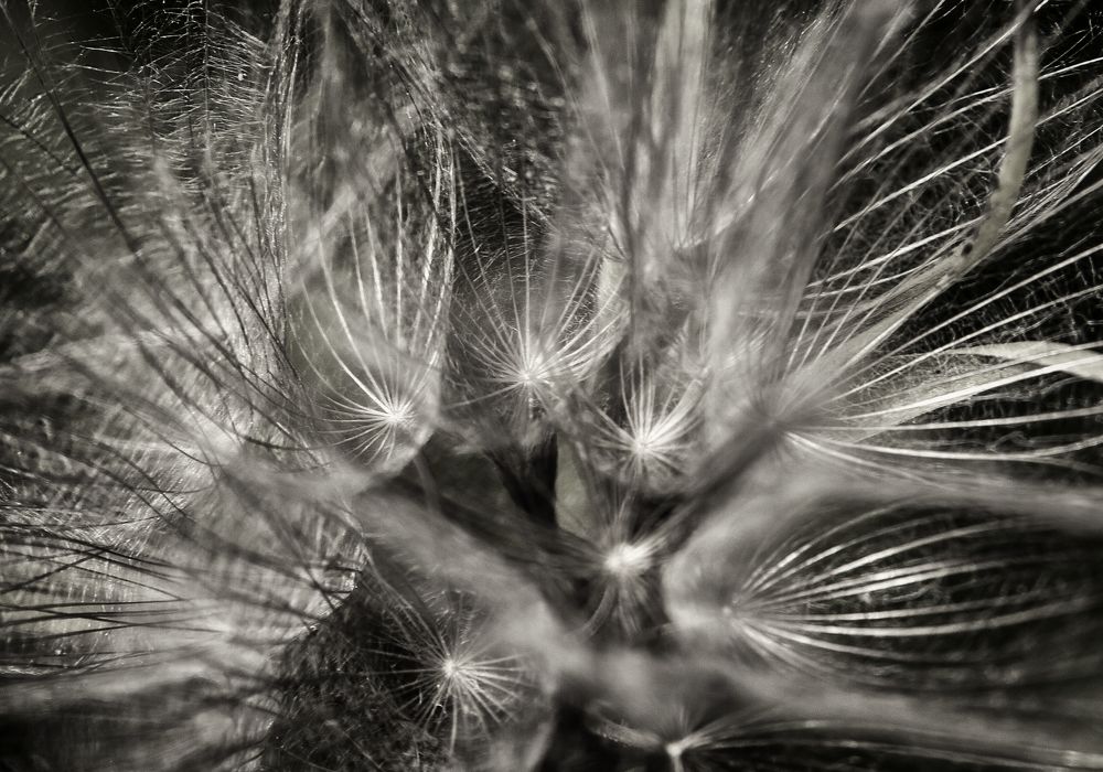 Фотография автора Konstantin Chervonniy