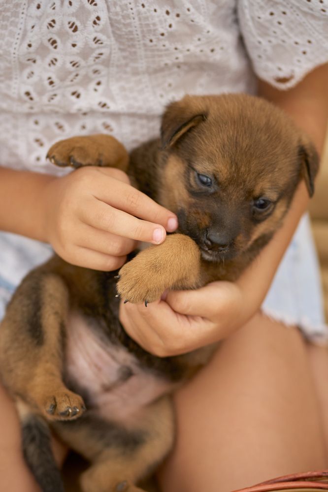 Photograph by Емилия Скибо