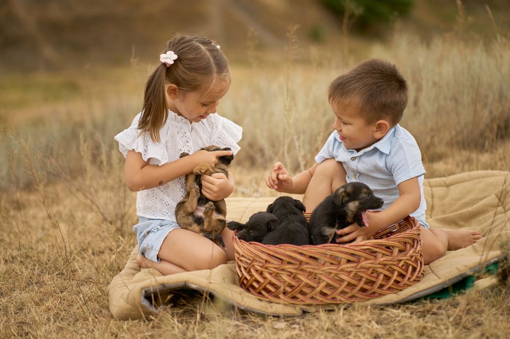 Photograph by Емилия Скибо