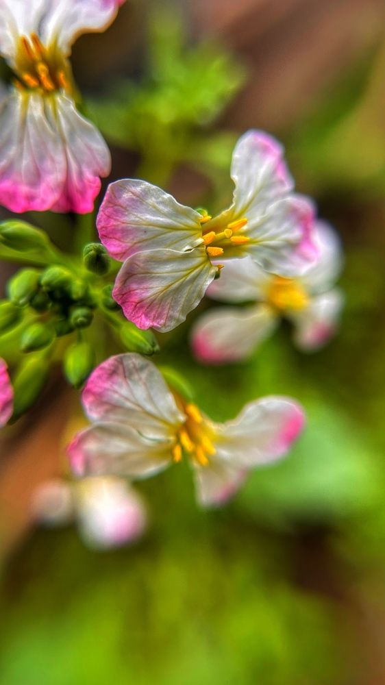 Photograph by Екатерина