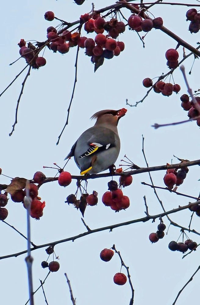 Photograph by Ольга Веселова
