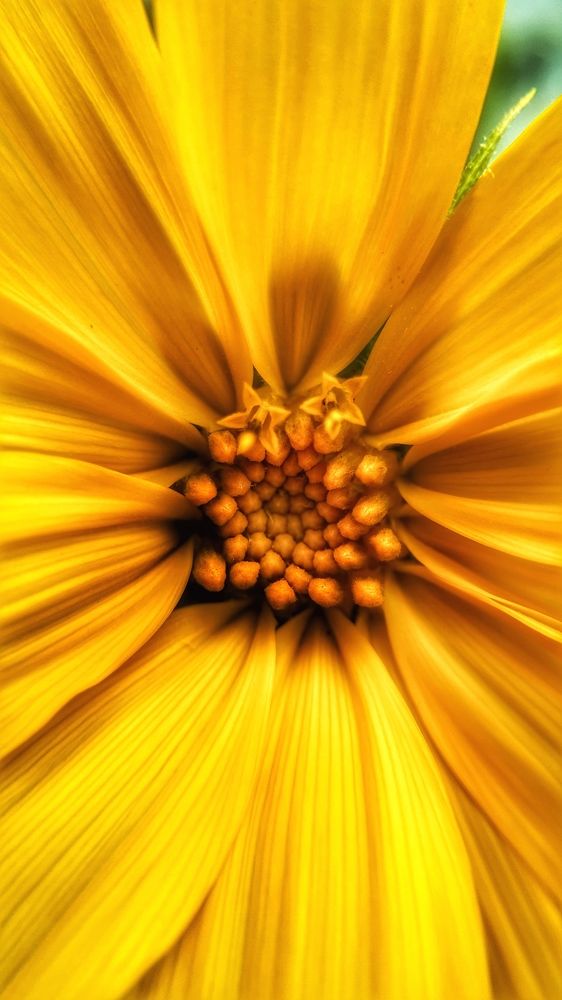 Photograph by Екатерина