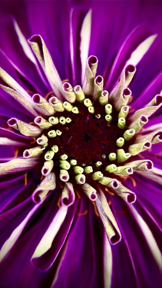 Photograph by Екатерина