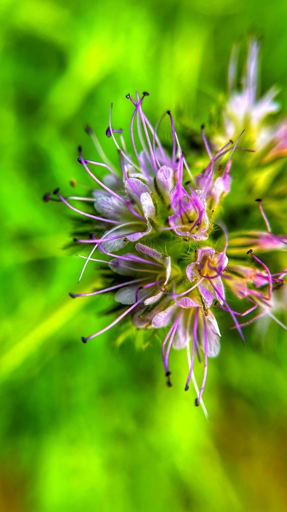 Photograph by Екатерина