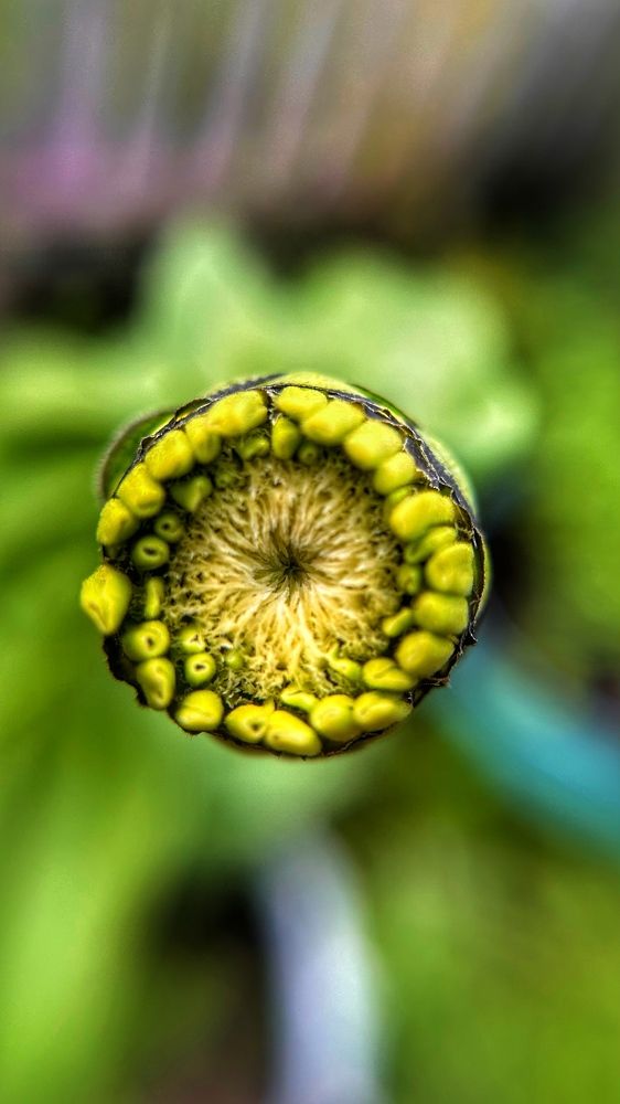 Photograph by Екатерина