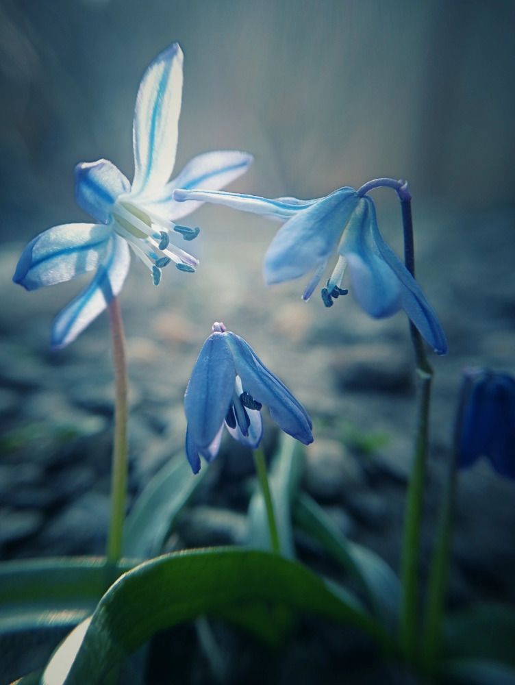 Photograph by Ирина Чувило