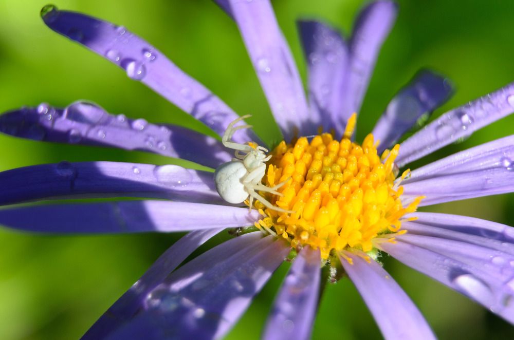 Photograph by Andrei Sosnouski