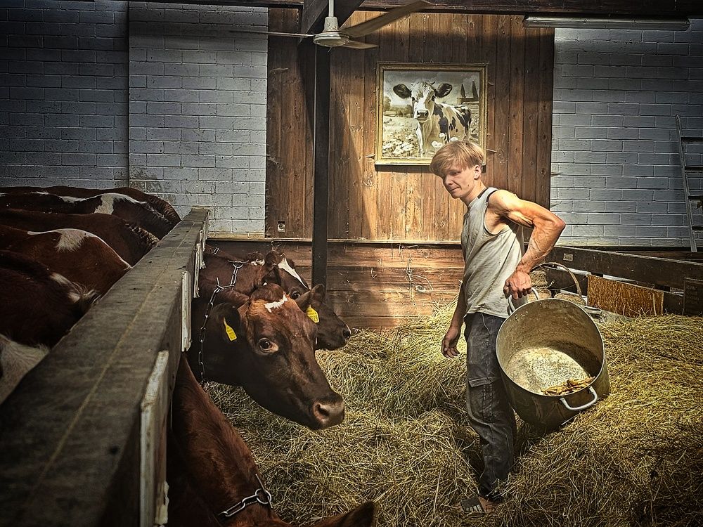 Михаил. Декаданс в Псково-Печерском монастыре