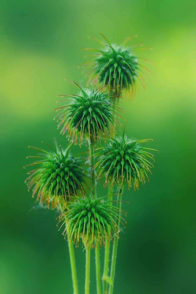 Photograph by Рагинская Ольга