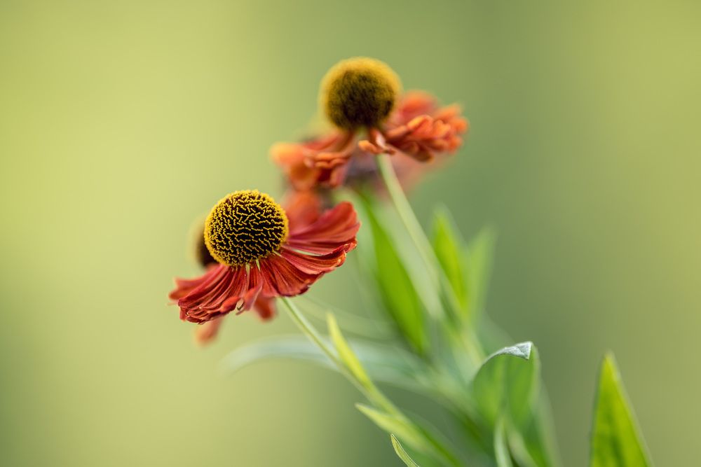 Photograph by Рагинская Ольга