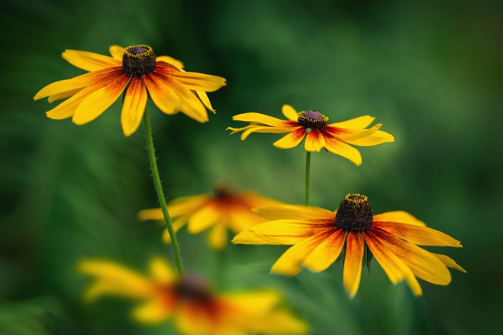 Photograph by Рагинская Ольга