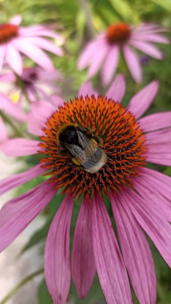 Photograph by Людмила Щуцкая