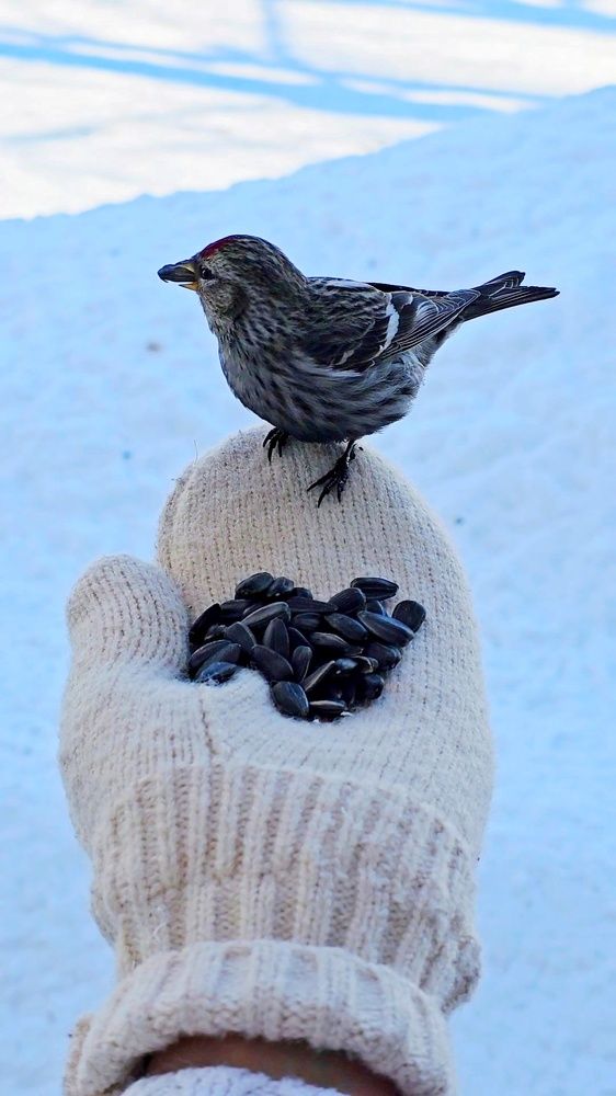 Photograph by Ольга Веселова