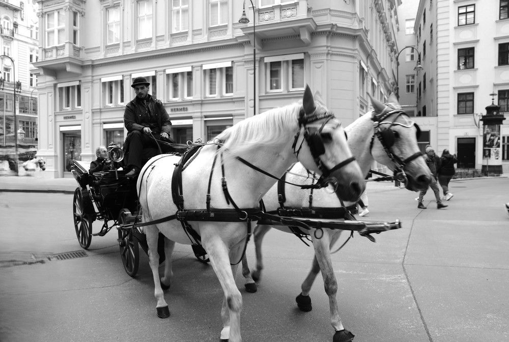 Photograph by Nella Libenzon