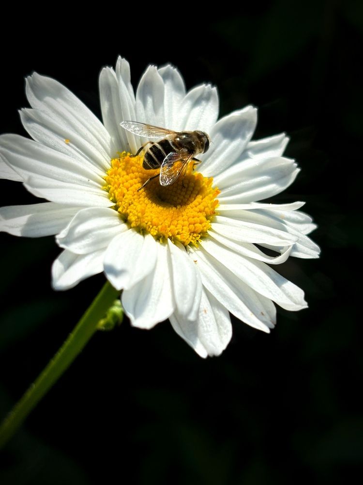 Photograph by Марина