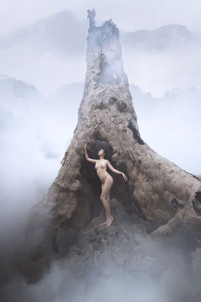 Photograph by Lê Hồng Tuấn