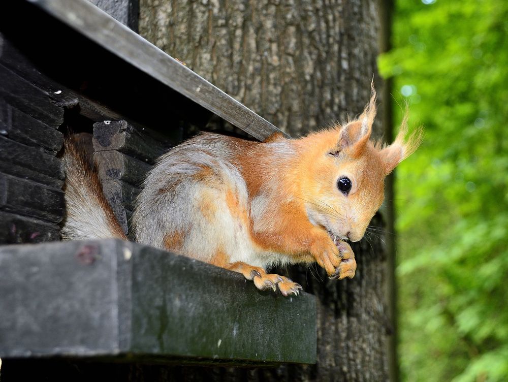 Photograph by Andrei Sosnouski