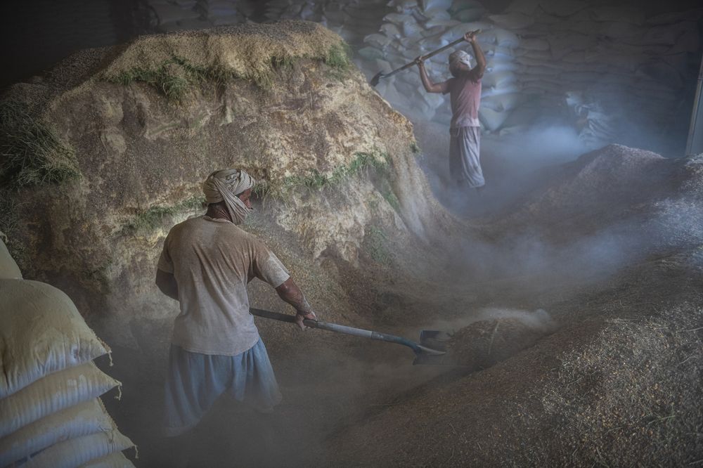 Фотография автора Zubair Irshad