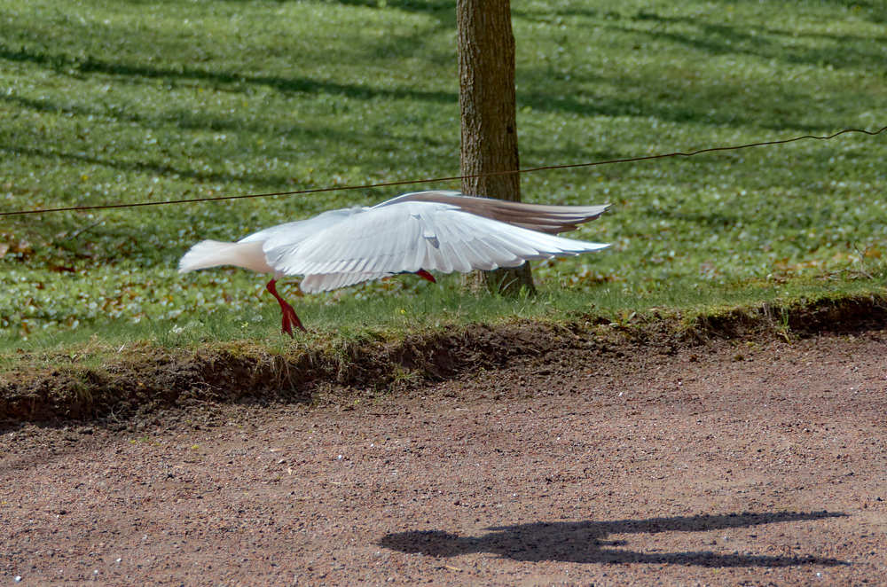 Photograph by Сергей Богданов