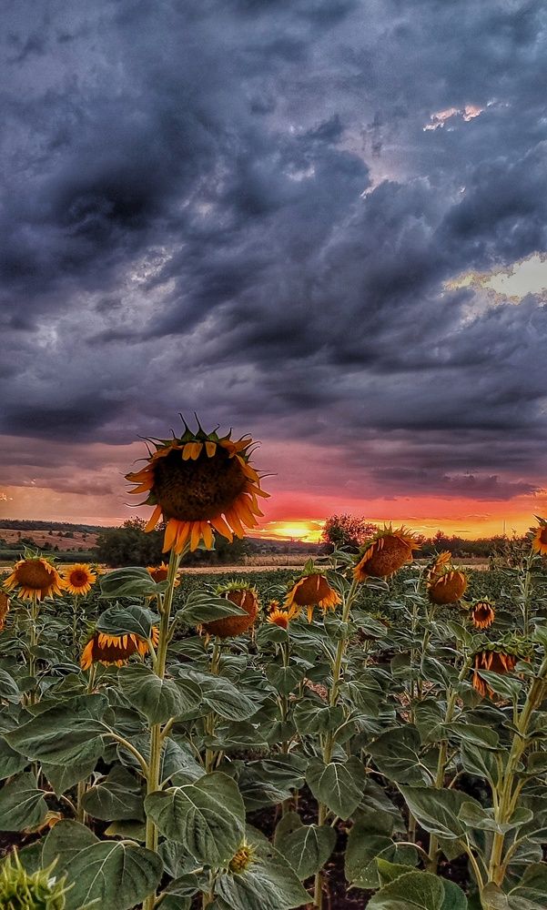 Photograph by Наталья Исиченко