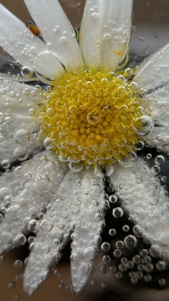 Photograph by Mariia Voloshina