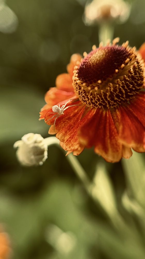 Photograph by Светлана