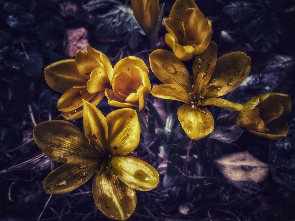 После дождя