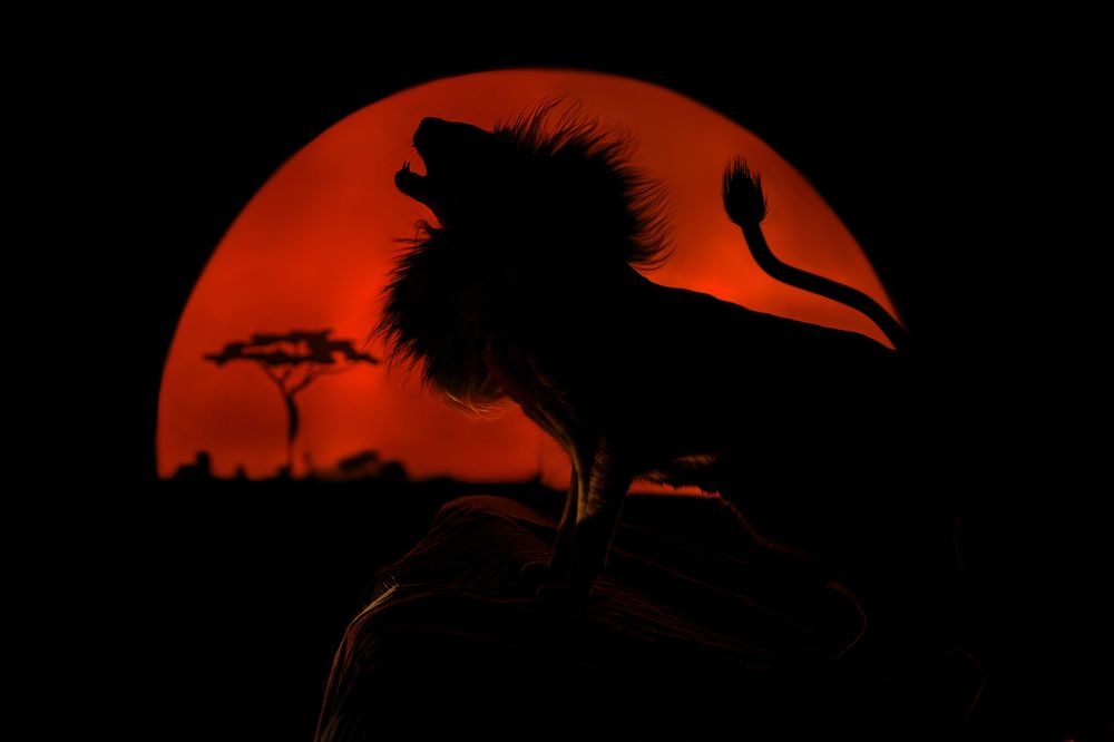 Photograph by Зубкова Юлия