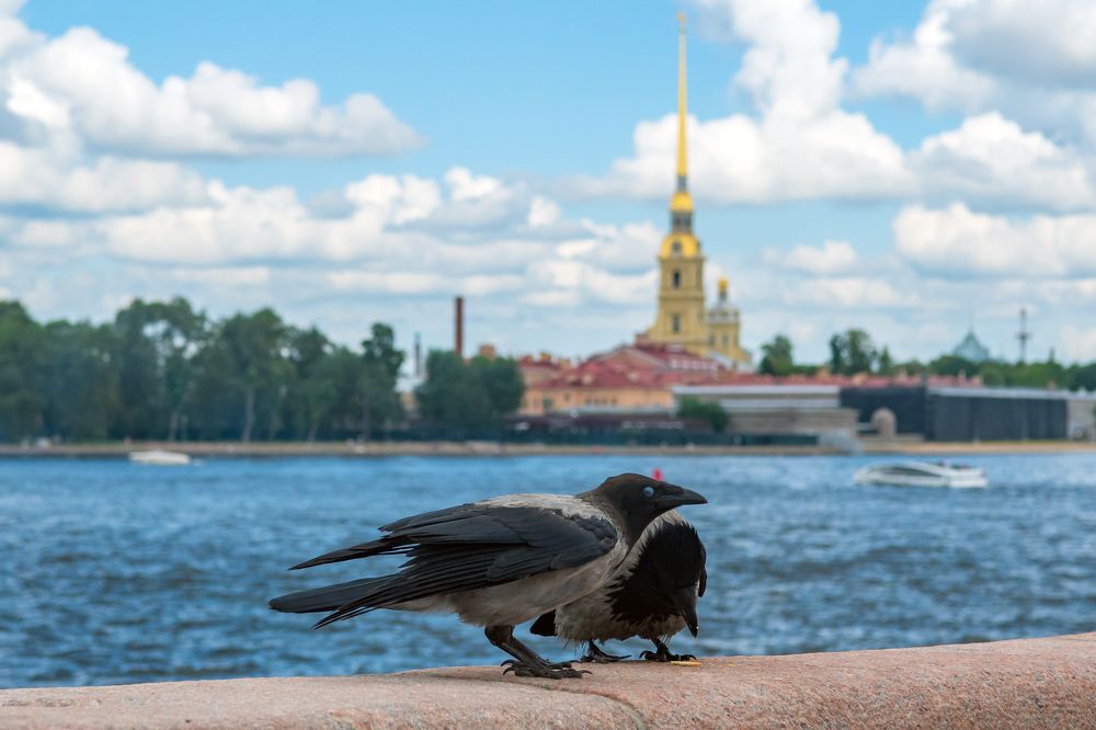 Photograph by Демьян Лопатов