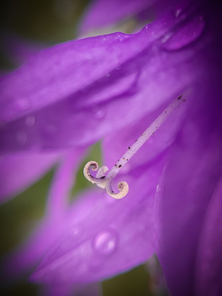 Photograph by Анастасия Дынина