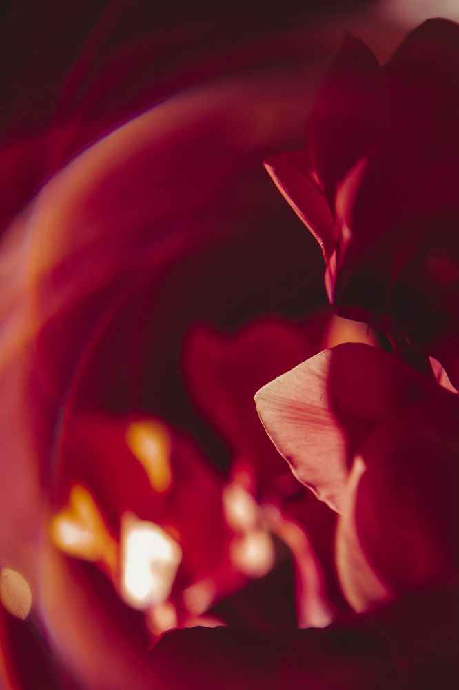 Photograph by Katja Sen