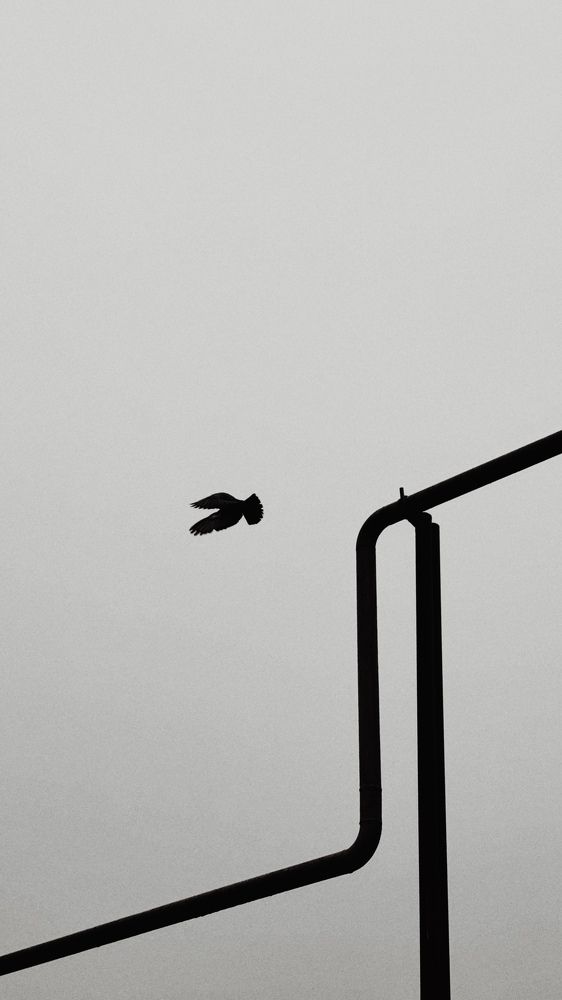 Photograph by Светлана Родионова