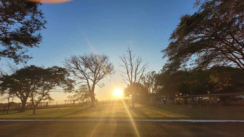 Photograph by Gilson Marcos Ferreira de Oliveira Oliveira