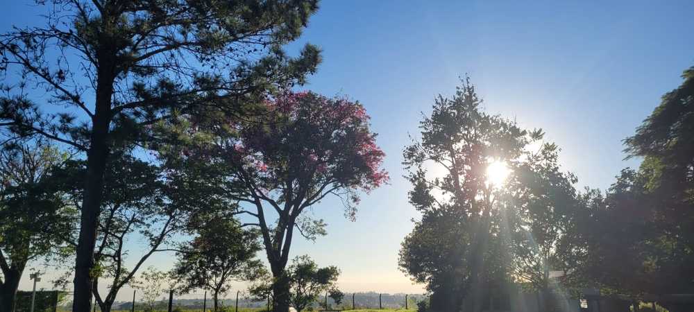 Photograph by Gilson Marcos Ferreira de Oliveira Oliveira