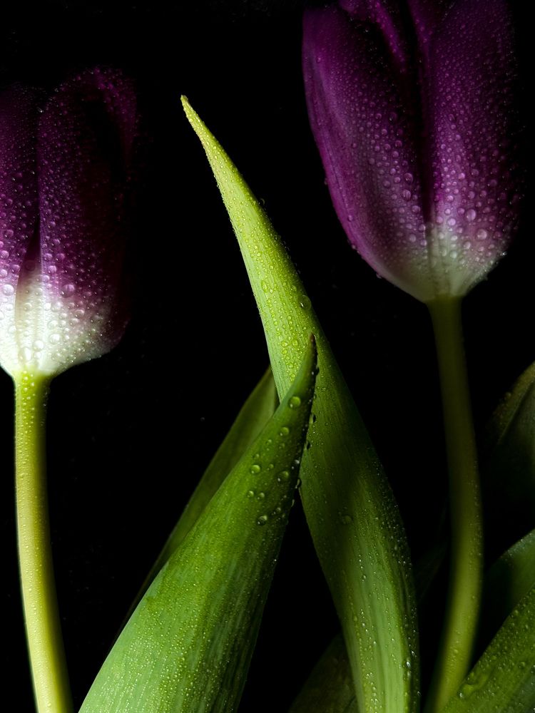 Photograph by Татьяна Зенина