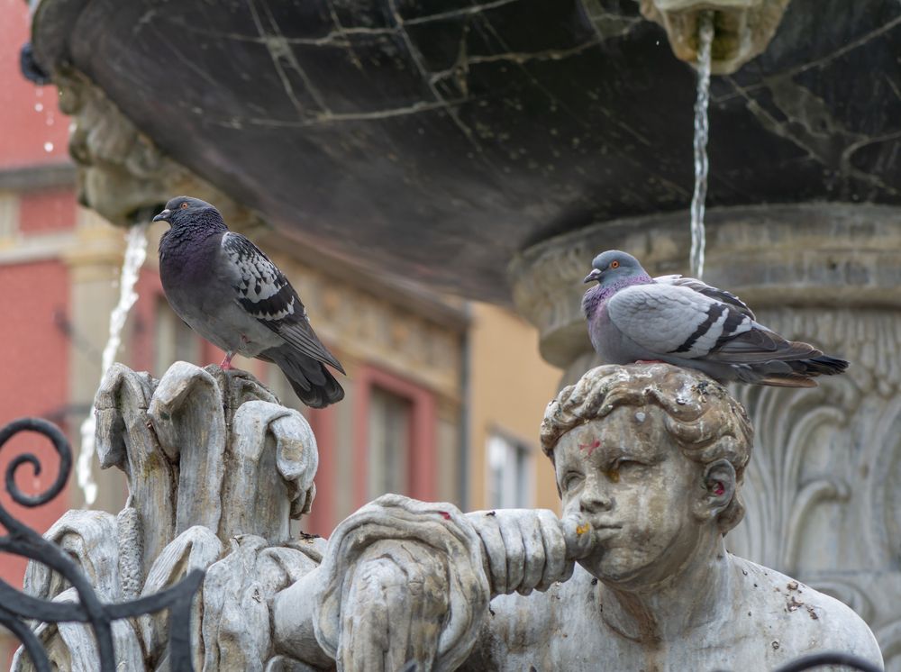 Photograph by Agita Leimane